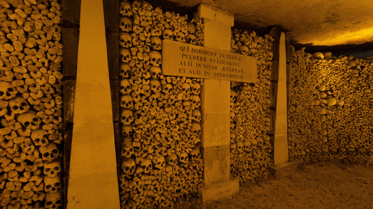 Image de la Crypte